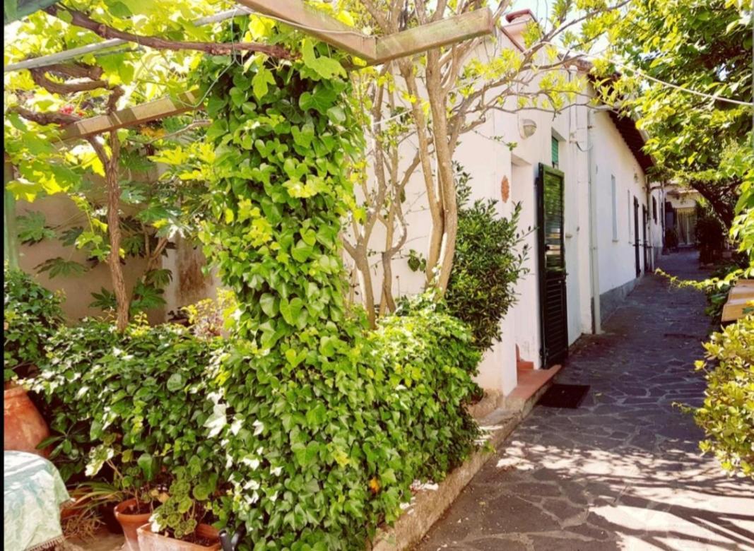Cavo Beach 4 Exterior foto